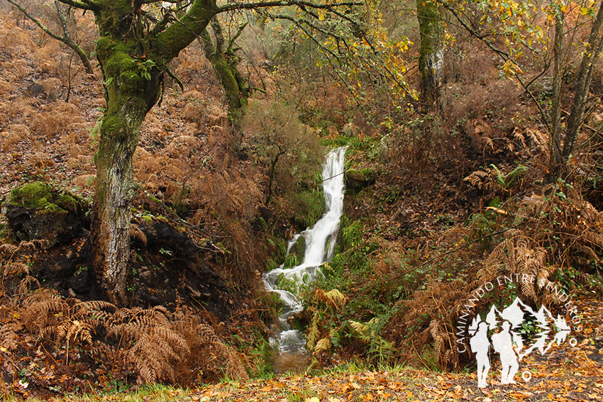 Salto de agua