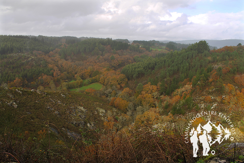 Bosque autóctono
