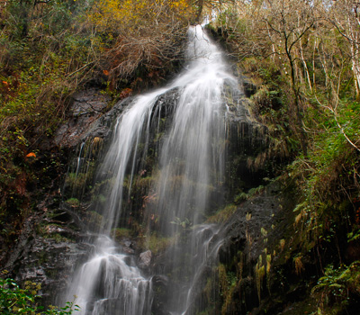 Fervenza Mexadoira (Louseira)