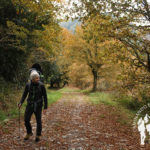 Bosque autóctono