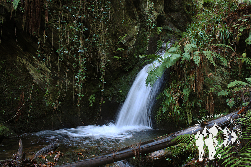 Salto rego de Murias