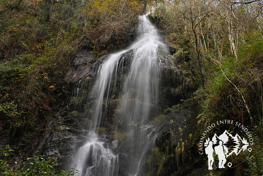 Fervenza Mexadoira (Louseira)