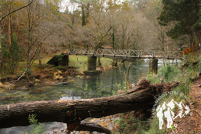 Puente madera río Sor