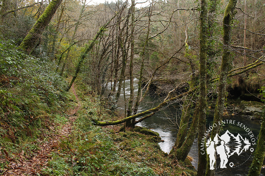 Río Sor
