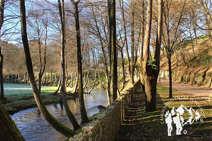Paseo Fluvial Río Asma (Chantada)