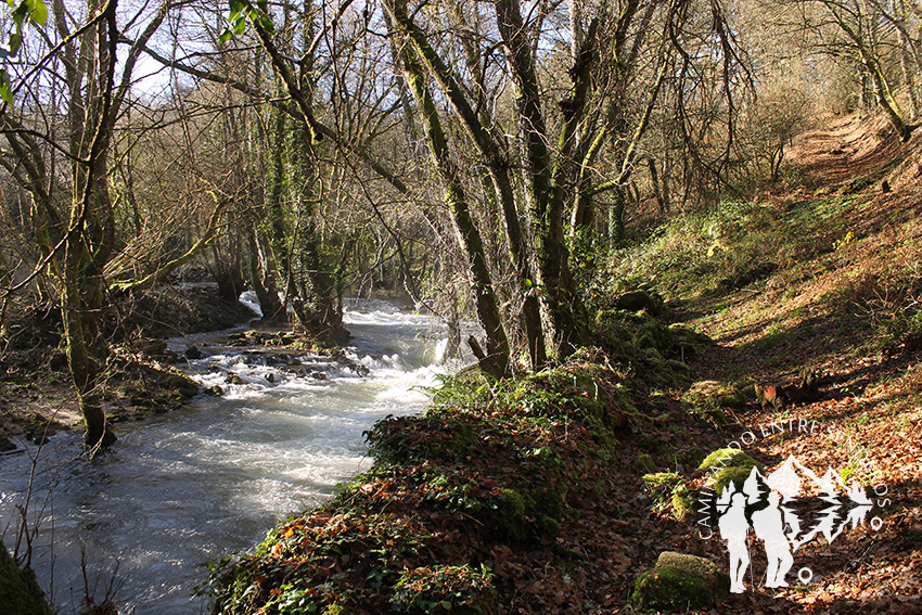 Paseo Fluvial Río Asma (Chantada)