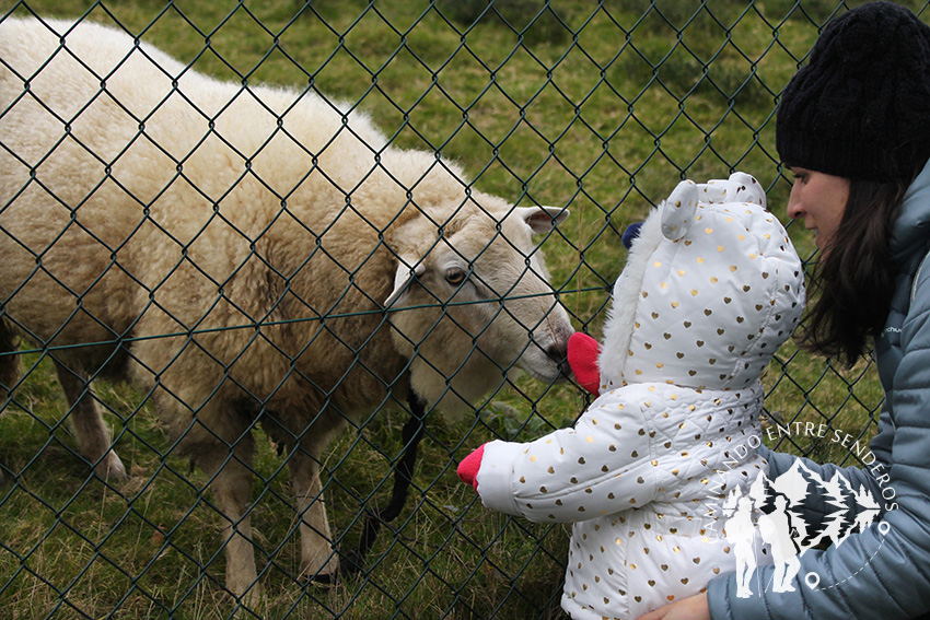 Ruta Embalse de Beche (Abegondo)
