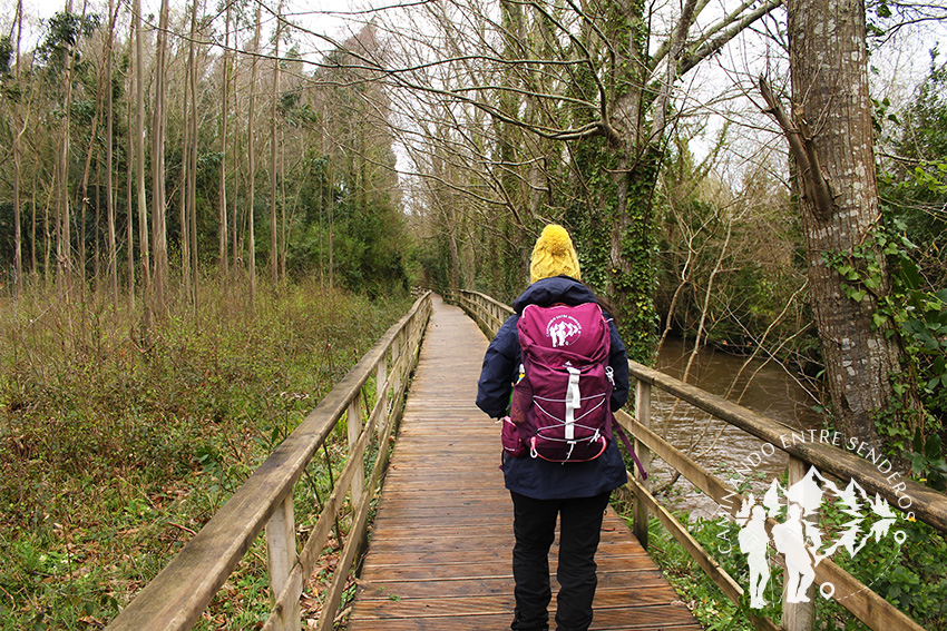 Pasarela río Xubia (San Sadurniño)