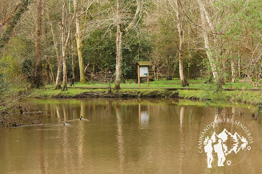 Paseo fluvial río Xubia (San Sadurniño)