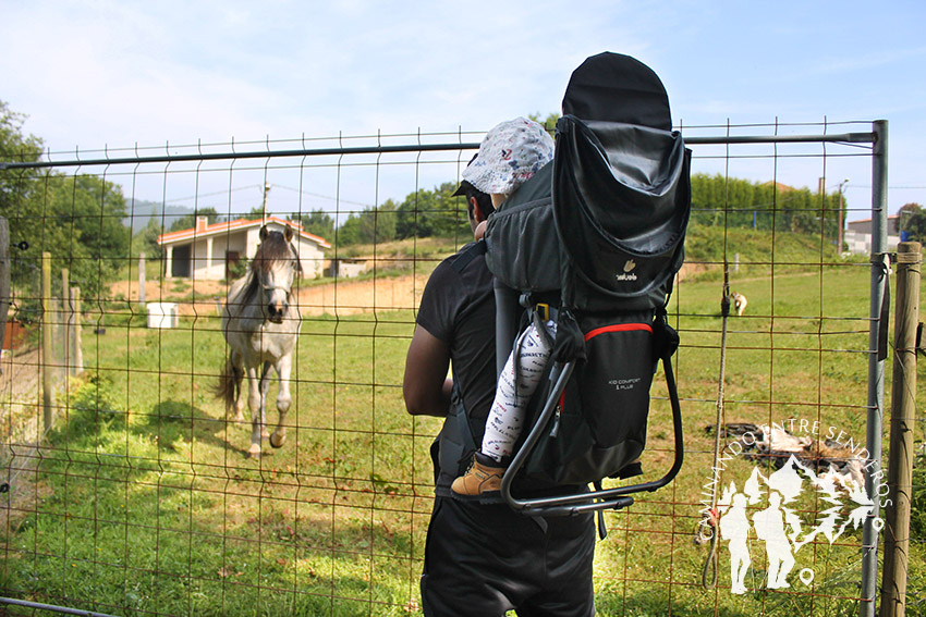 Caballo