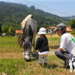 Caballo