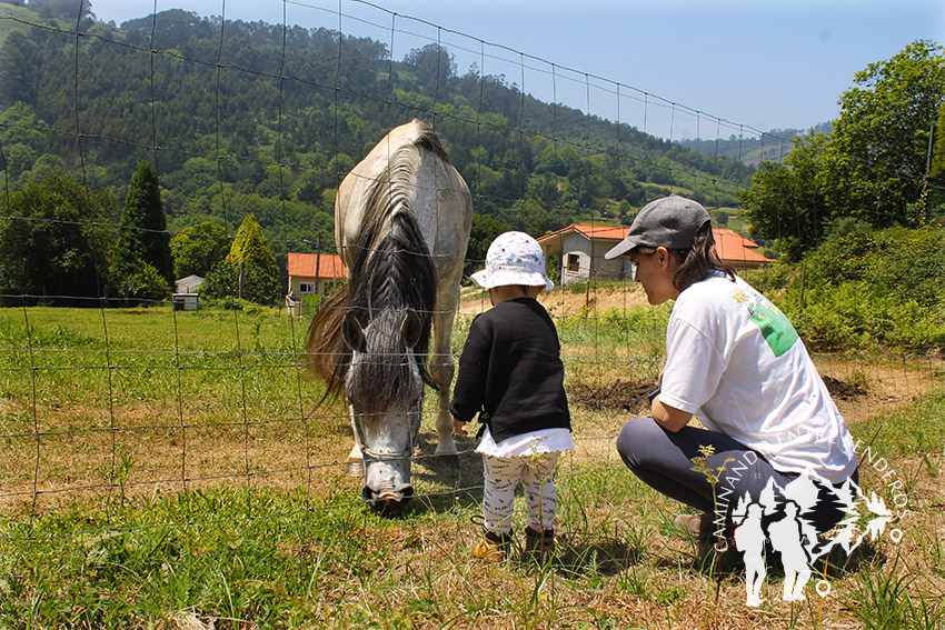 Caballo
