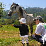 Caballo
