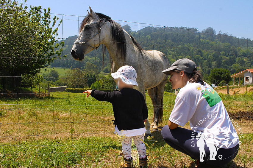 Caballo