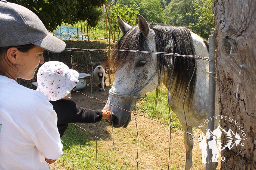 Caballo