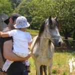 Caballo