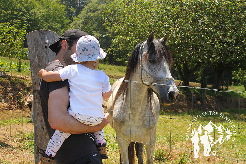 Caballo