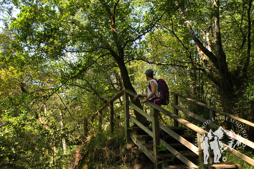 Senda Botánica Río Mera (O Pino)