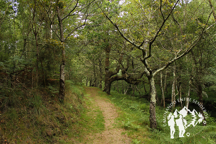 Ribeira do Bispo