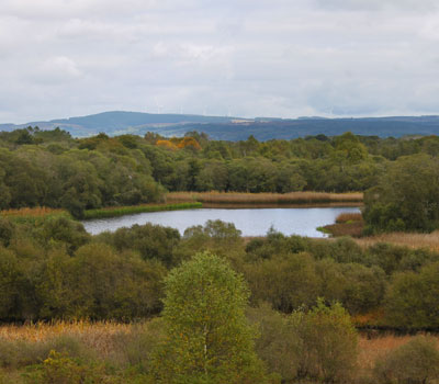 Ruta Laguna de Cospeito (Lugo)