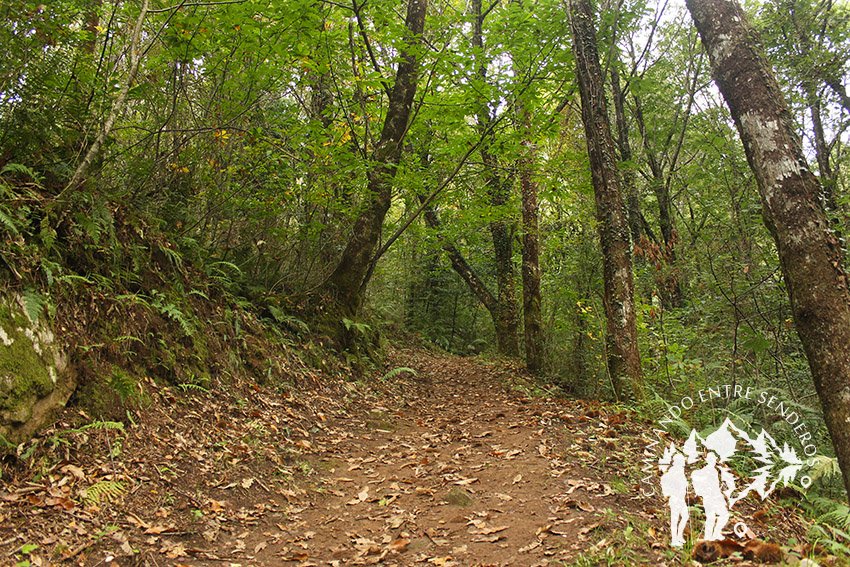 Ruta dos Muíños do Río Medio (Miño)