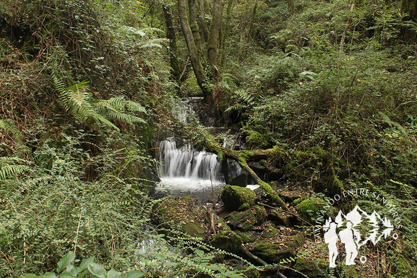 Fervenza río Medio