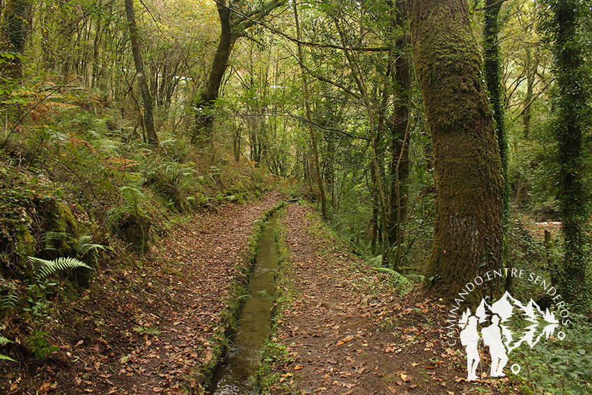 Ruta dos Muíños do Río Medio (Miño)