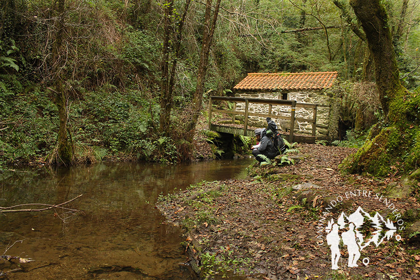 Ruta dos Muíños do Río Medio (Miño)