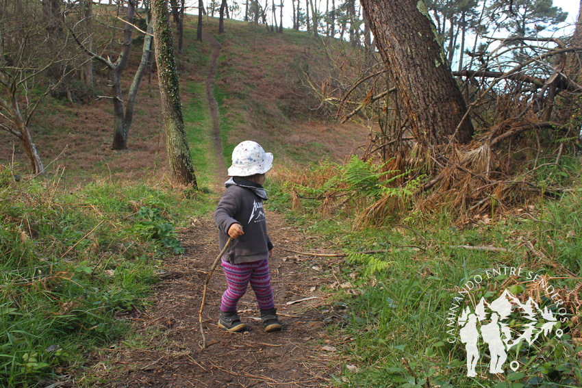 Bosque de Canide