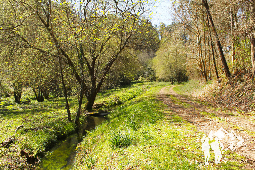 Ruta río Gobia (Abegondo)