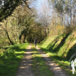 Ruta río Gobia (Abegondo)