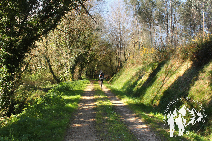 Ruta río Gobia (Abegondo)
