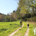 Ruta río Gobia (Abegondo)