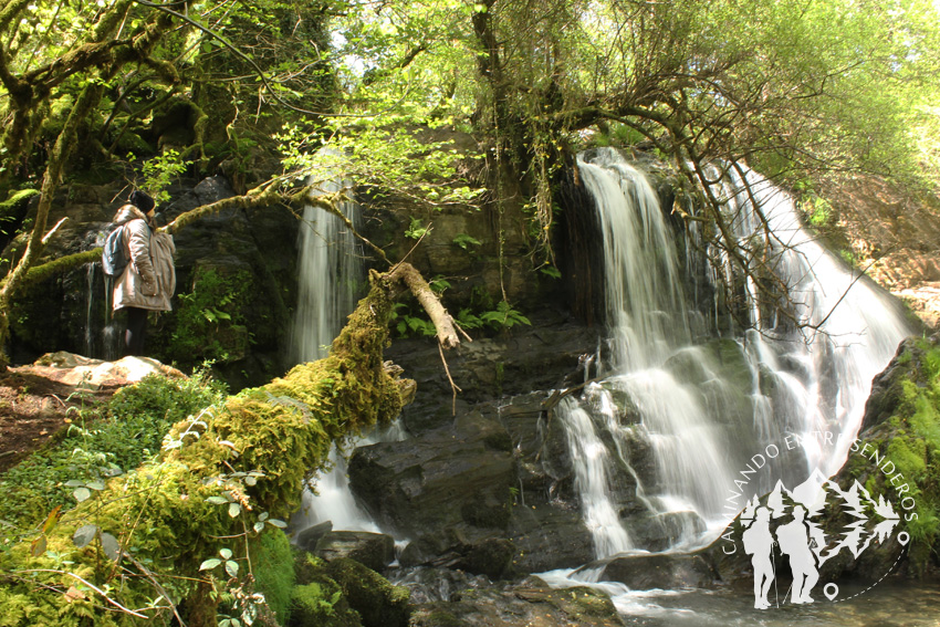 Fervenza de Vioxo-Chacín (Mazaricos)