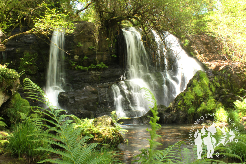 Fervenza de Vioxo-Chacín (Mazaricos)