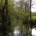 Río Mera