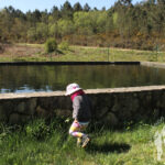 Ruta rego das Laxes (Teo)