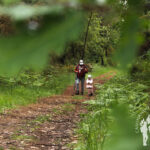 Sendero Cacheiras