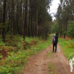 Sendero Cacheiras