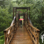 Puente de madera de la urbanización Verseles