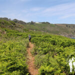 Enseada Folgueiro (Arteixo)
