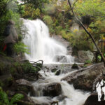 Fervenza de Budián (Zas)