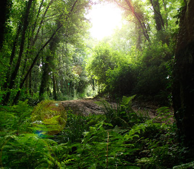 Ruta do Rego Callou (Bergondo)