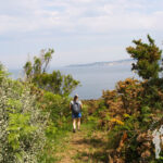 Bosque Bajo Punta Torrella (Dexo)
