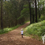 Bosque Punta Torrella (Dexo)
