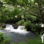 Presa
