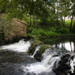 Presa