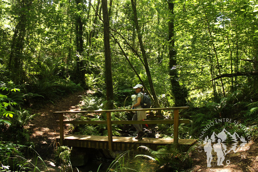 Puente rego Callou (Bergondo)