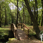 Área recreativa de Pedra Vixía