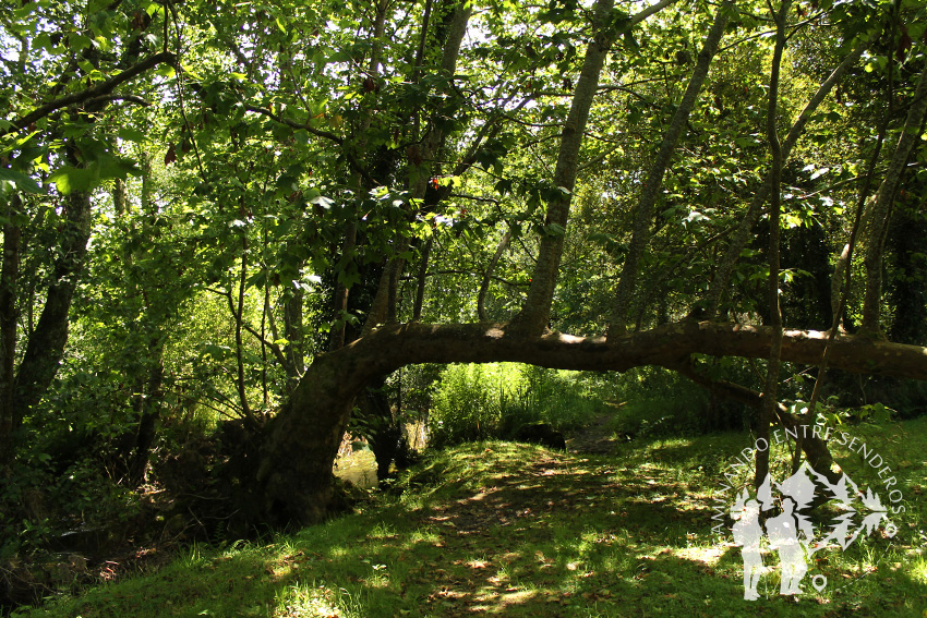 Sendero río Baio